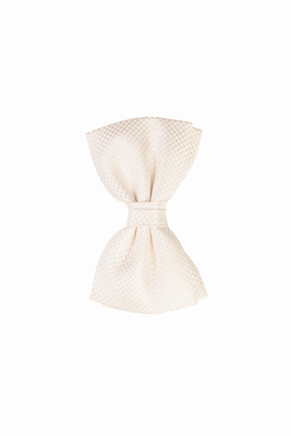 Motýlek Z přírodního hedvábí Motýlek Z přírodního hedvábí